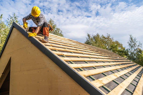 Roof Gutter Cleaning in Hildale, UT